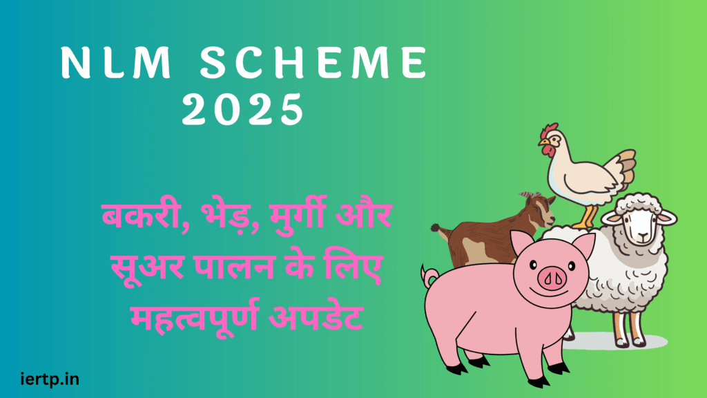 NLM Scheme 2025